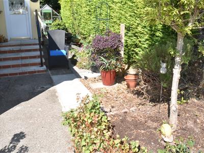 Picture 11